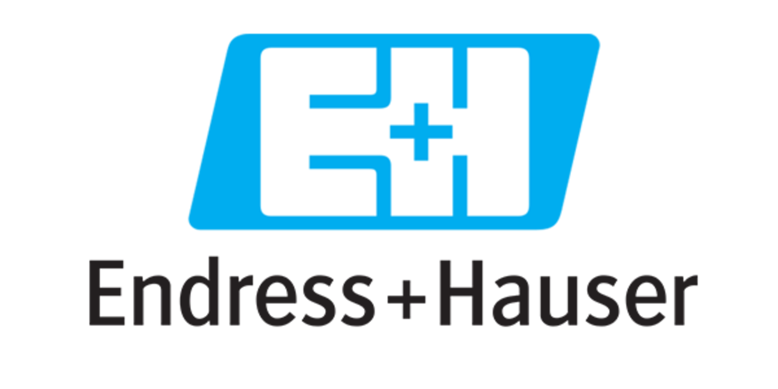 235411_EndressHauser